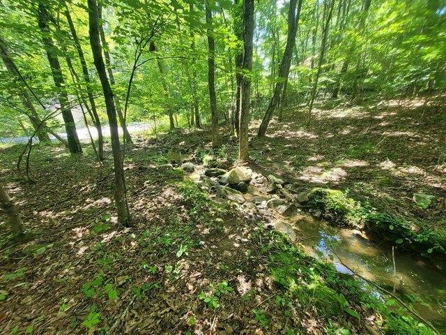 Land for sale in Tennessee