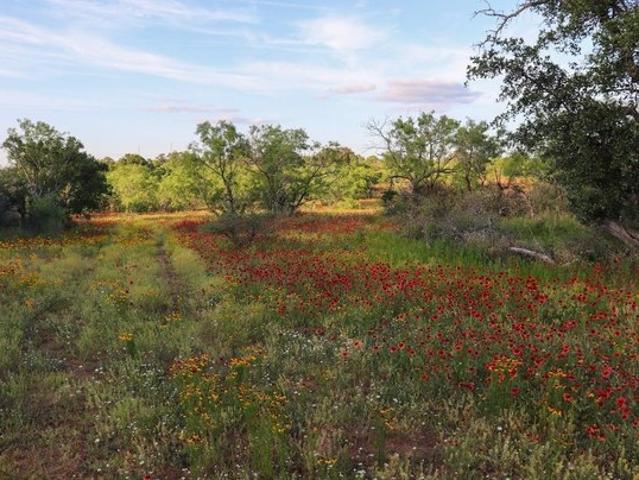 Farm for sale in Llano, Texas