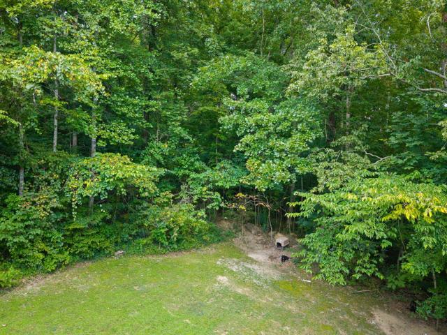 House for sale in Monticello, Kentucky