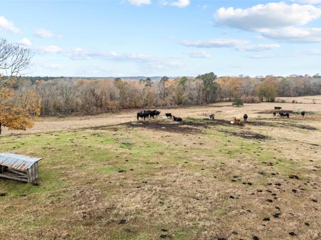 Land for sale in Shelby, Texas