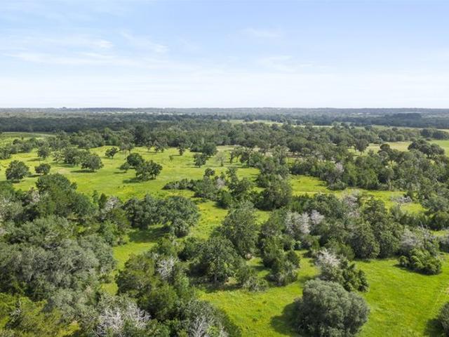 Land for sale in Cat Spring, Texas