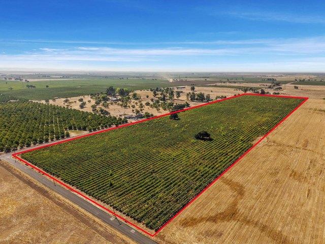 Land for sale in Lodi, San Joaquin County