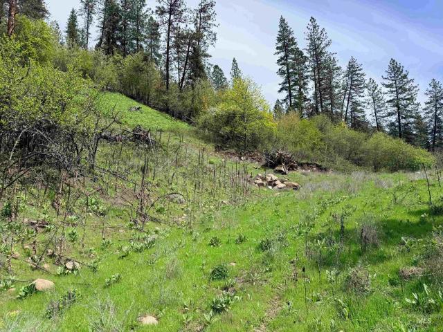 Land for sale in Orofino, Idaho