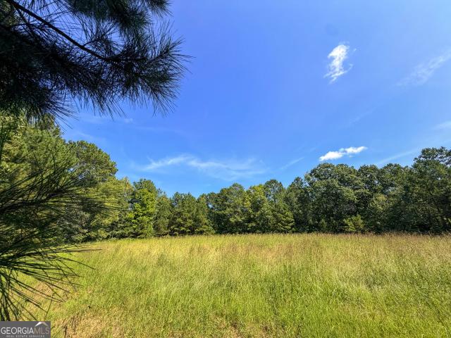Land for sale in Carrollton, Carroll County