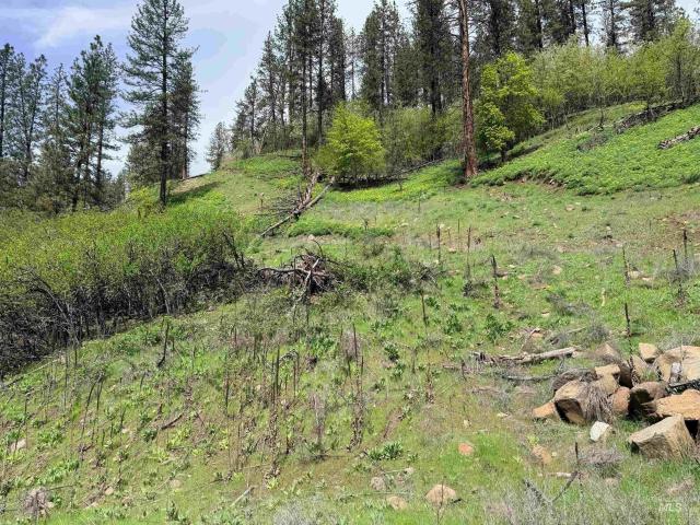 Land for sale in Orofino, Idaho