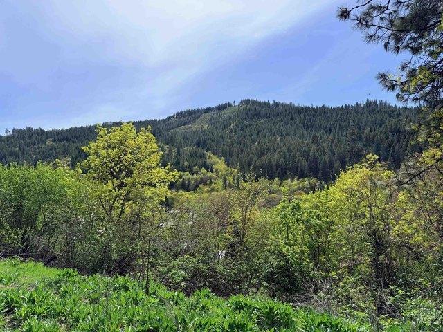 Land for sale in Orofino, Idaho