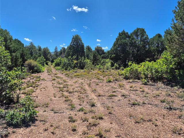 Land for sale in Montrose, Colorado