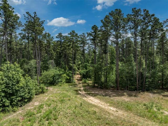 Land for sale in Smith, Texas
