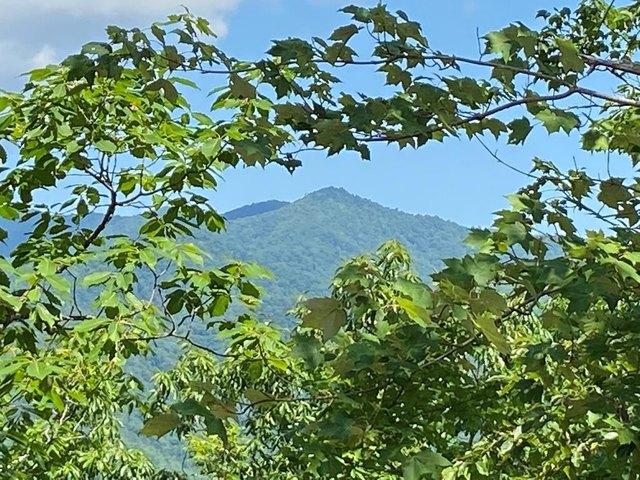 Land for sale in Andrews, North Carolina