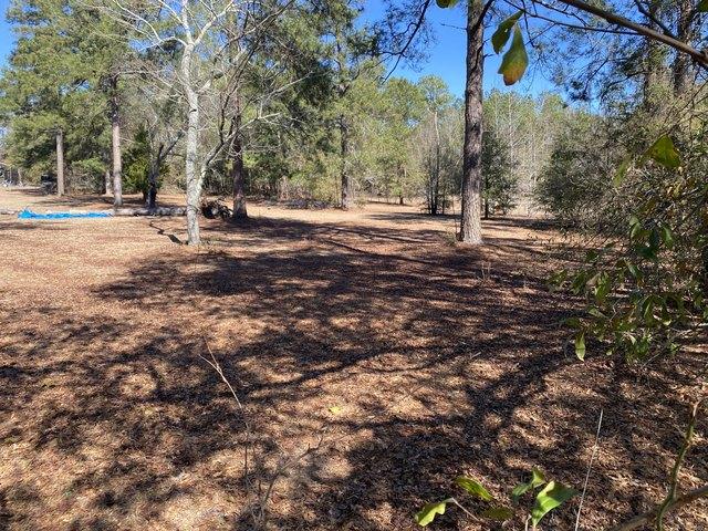 Land for sale in Hephzibah, Georgia
