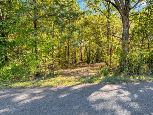 Land for sale in Monteagle, Middle Tennessee