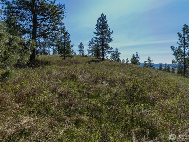 Land for sale in Chewelah, Washington