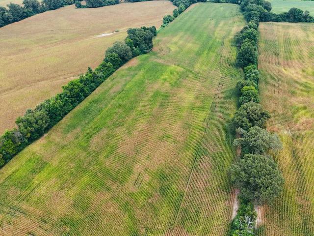 Land for sale in Tennessee