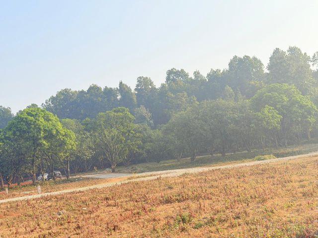 Land for sale in Kedarpur, Uttarakhand