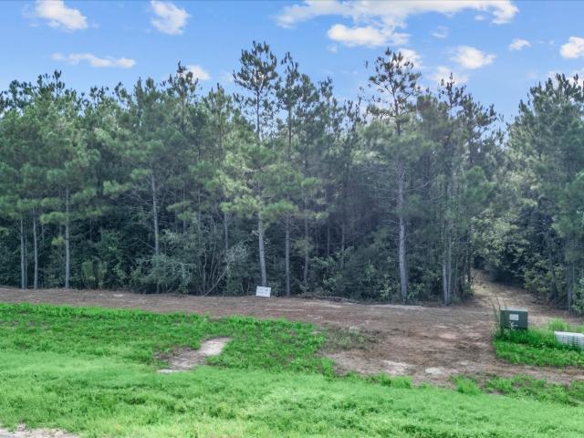 Land for sale in Willis, Texas