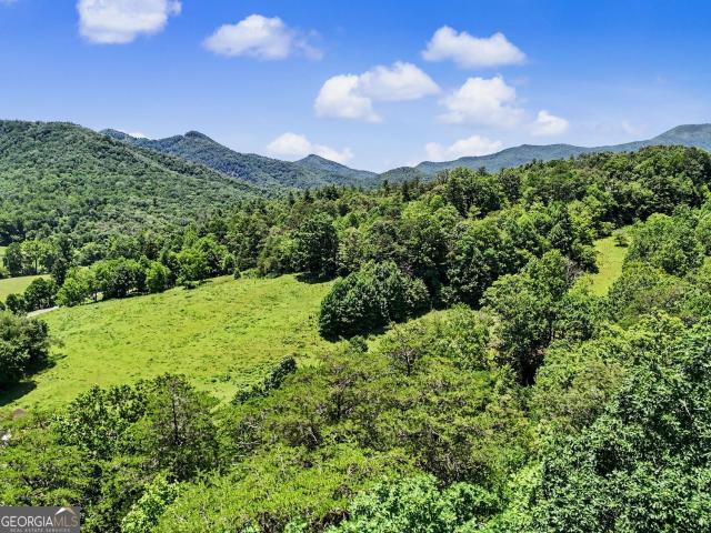House for sale in Dillard, Georgia