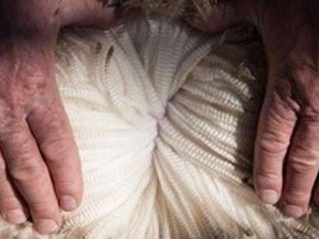 Property for sale in Otakou