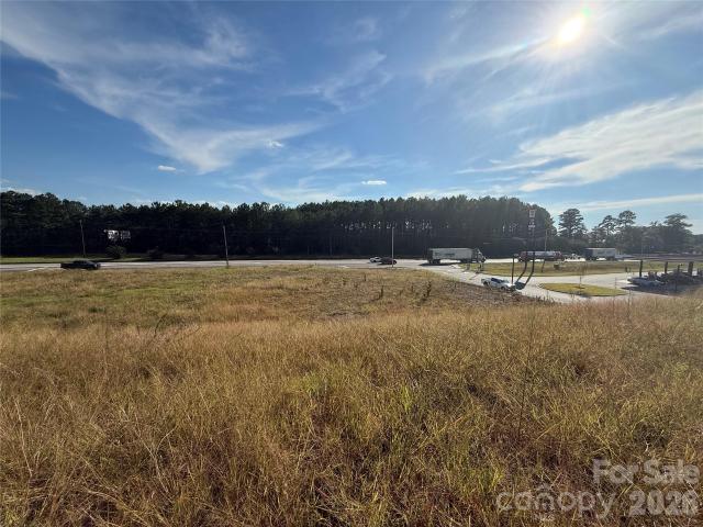 Land for sale in Wadesboro, Anson County