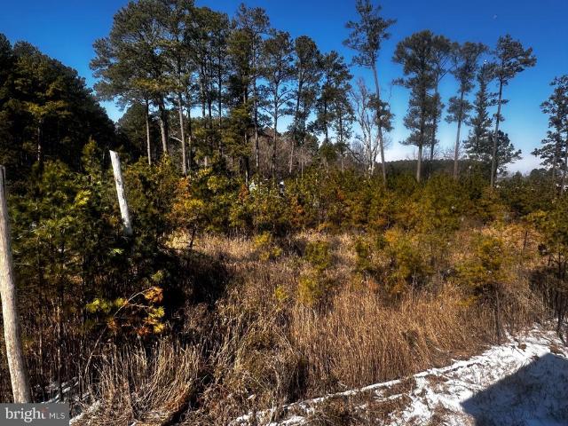 Land for sale in Piney Point, Maryland