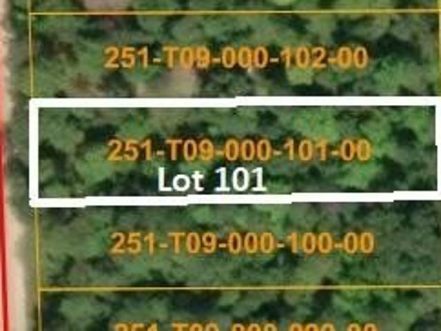 Land for sale in Wolverine, Michigan