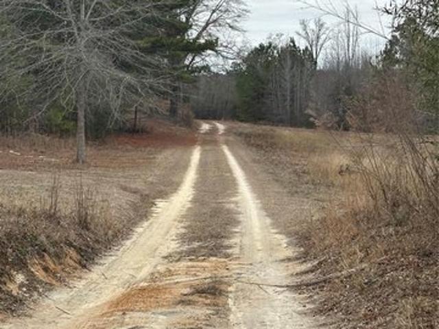 Land for sale in Lugoff, South Carolina