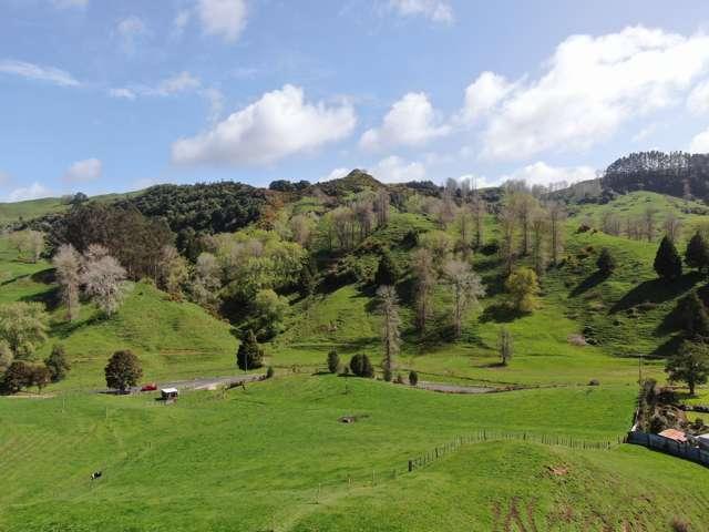 Property for sale in Otorohanga, Waikato