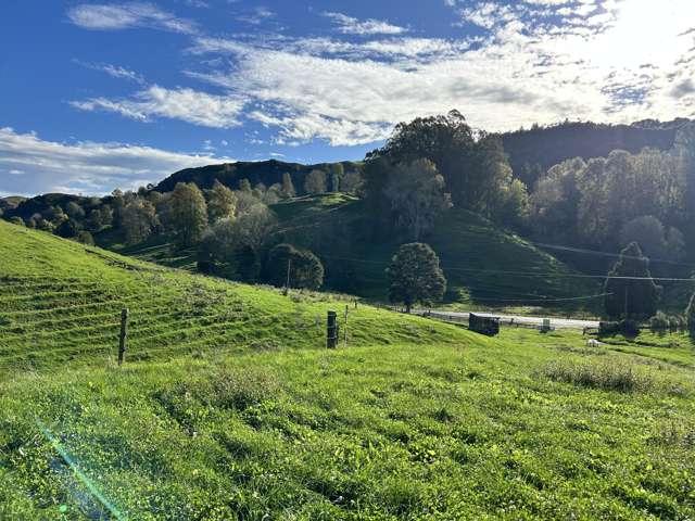 Property for sale in Otorohanga, Waikato