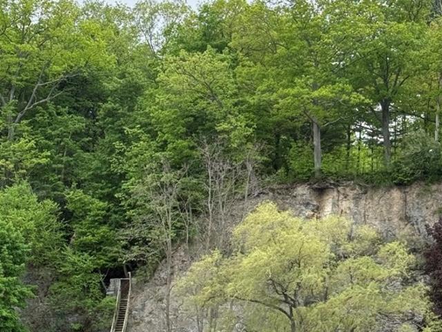 Land for sale in Trumansburg, New York