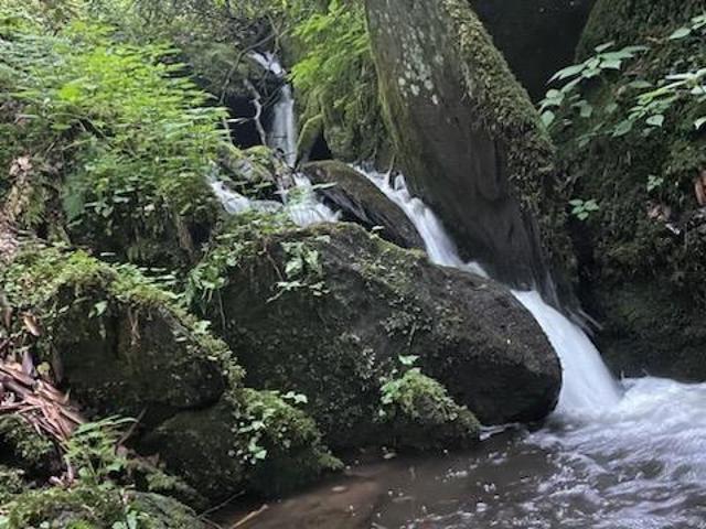 Land for sale in Cullowhee, Jackson County