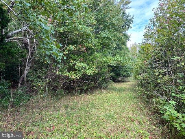 Land for sale in Woodbine, New Jersey