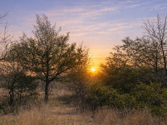 Property for sale in Navarro, Texas