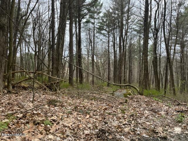 Land for sale in Berkshire, Massachusetts