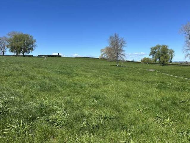 Property for sale in Te Awamutu, Waipā District