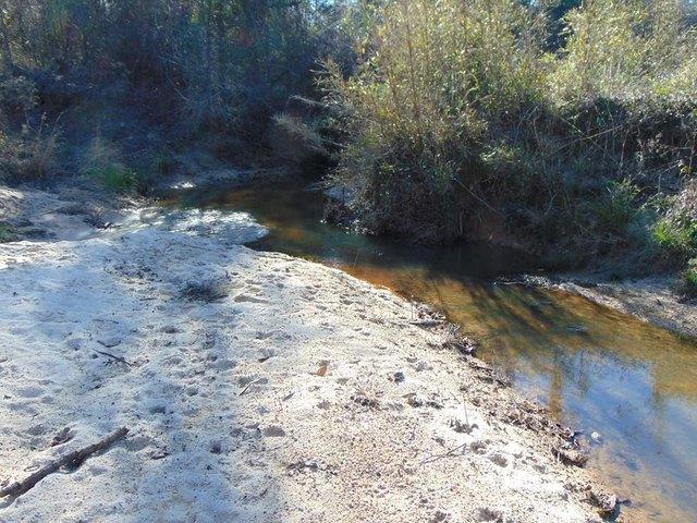 Land for sale in Braxton, Mississippi