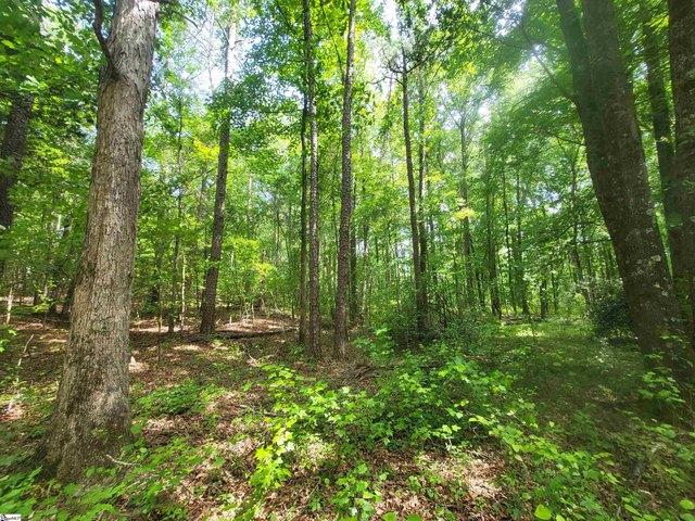 Land for sale in Cowpens, South Carolina