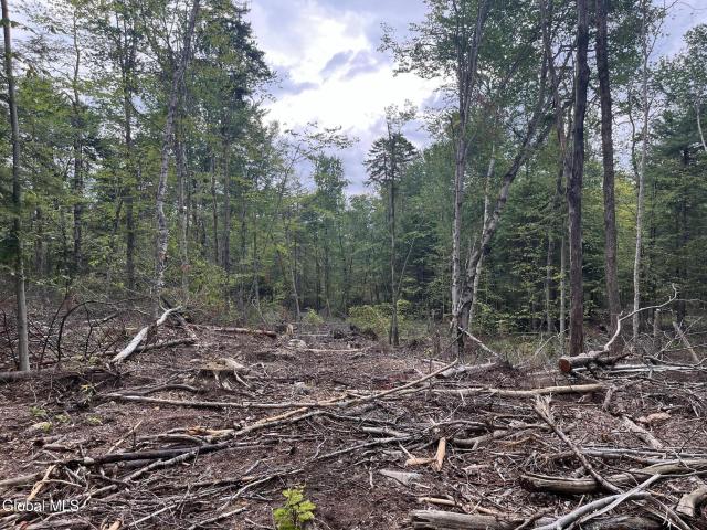 Land for sale in Grafton, New York