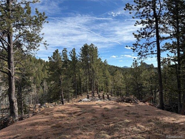Land for sale in Teller, Colorado