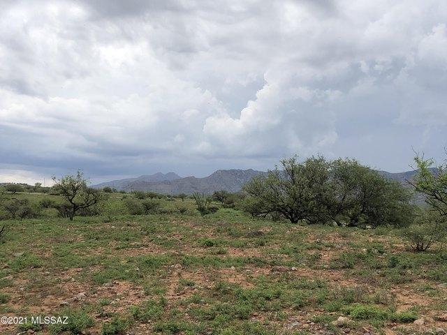 House for sale in Patagonia, Santa Cruz County