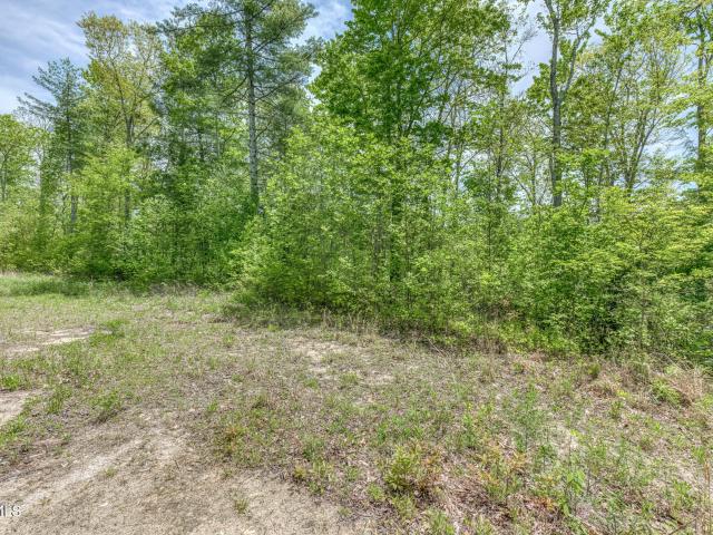 Land for sale in Tennessee