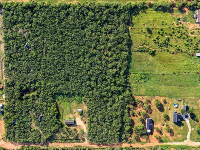 Land for sale in Jourdanton, Texas