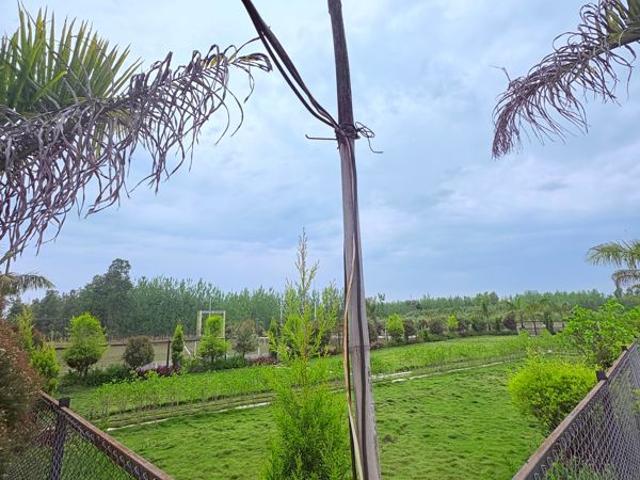 Land for sale in Kedarpur, Uttarakhand