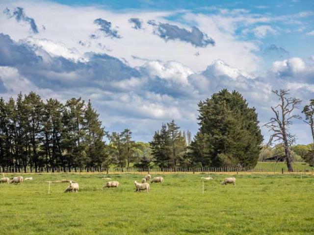 Property for sale in Ongaonga