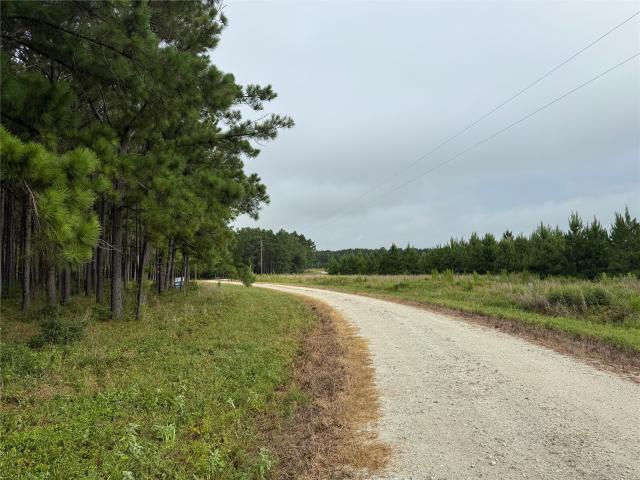 Land for sale in Lovelady, Texas