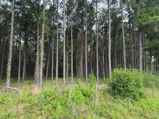 Land for sale in Lovelady, Texas