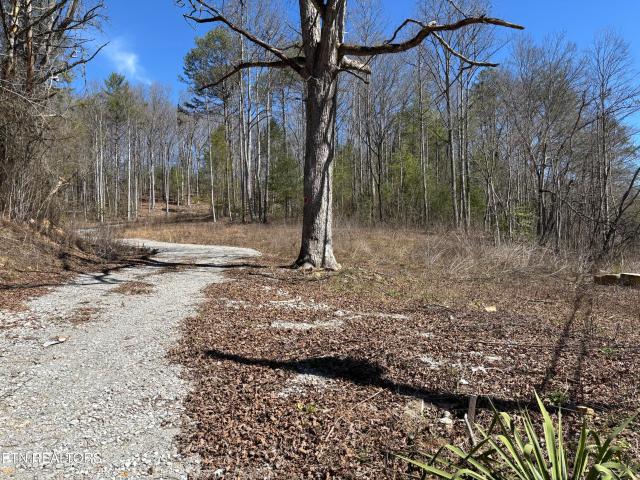 Land for sale in Tennessee