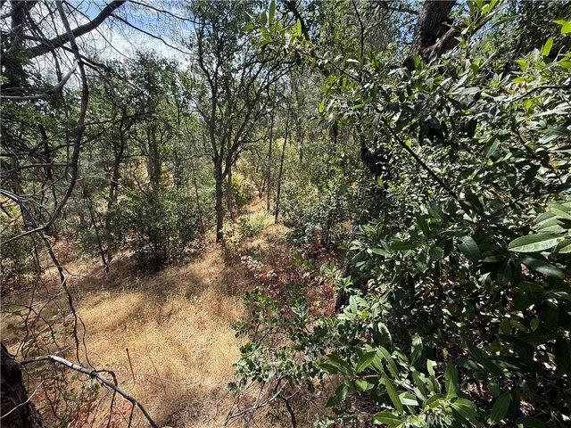 Land for sale in Corning, California