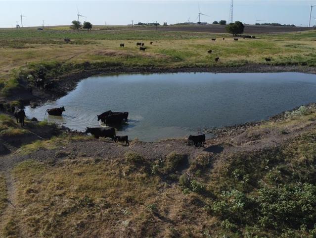 Land for sale in Muenster, Texas