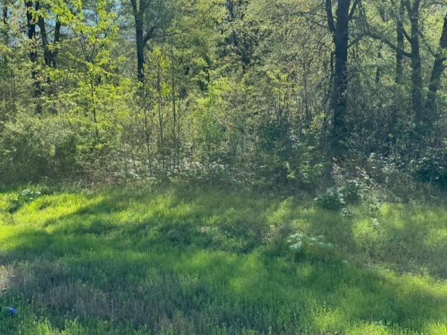 Land for sale in Ark