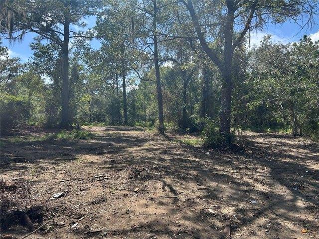 Land for sale in Williston, Levy County