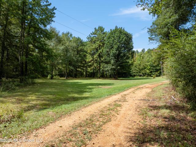 House for sale in Bogue Chitto, Mississippi